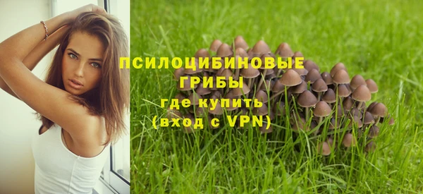 амфетамин Гусиноозёрск